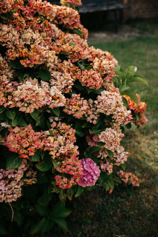 Persoonlijk afscheid, bloemen bij afscheid, livemuziek bij afscheid nemen